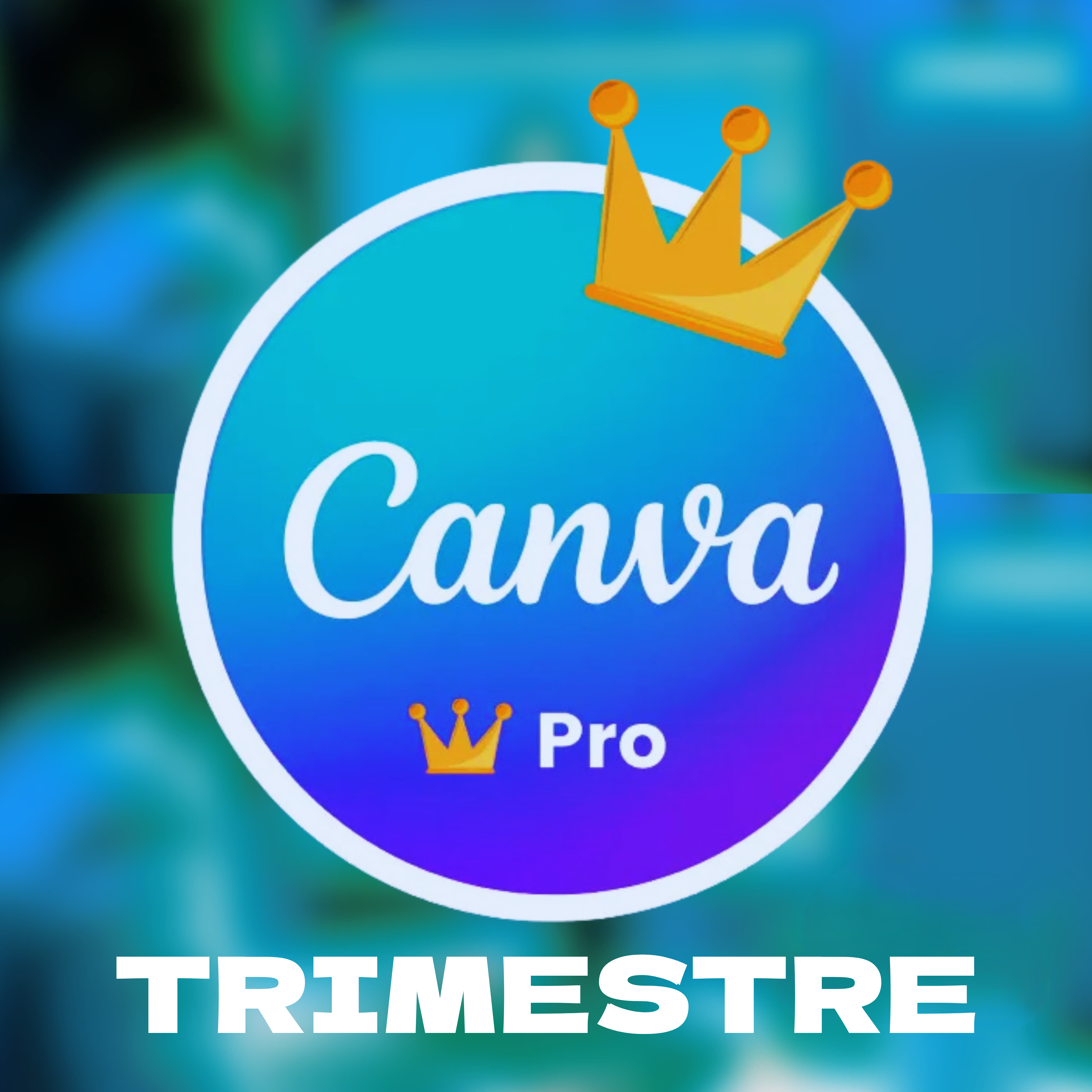Canva3Mes